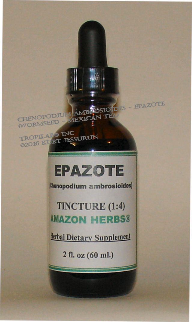 Chenopodium ambrosioides - Epazote tincture (Tropilab)